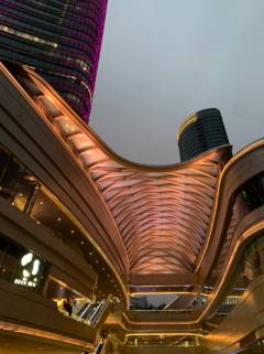 White Magnolia Plaza-2